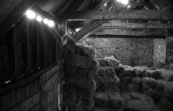 oj09-barn_interior